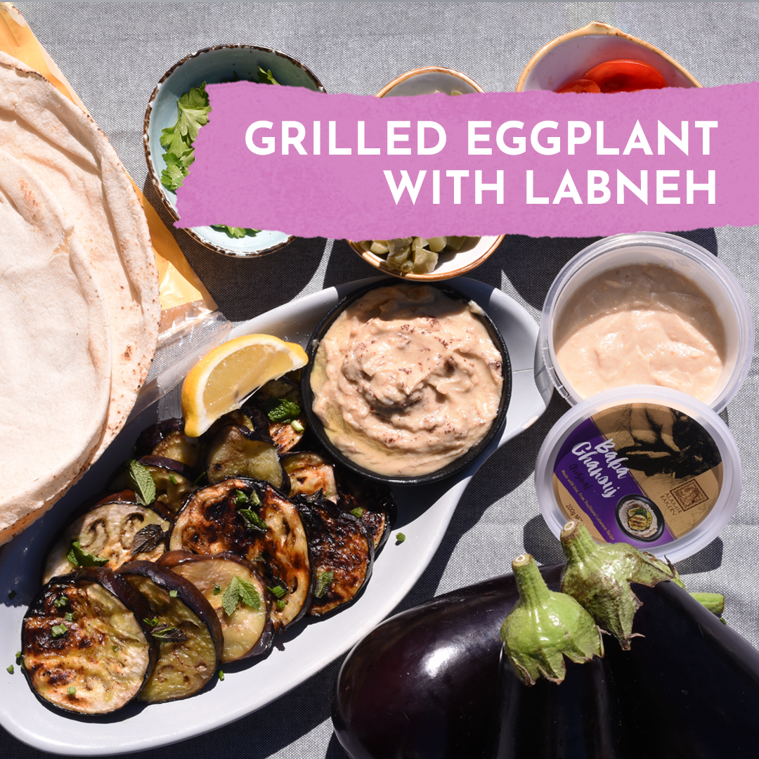 Grilled eggplant with Labneh from Alamir Bakery